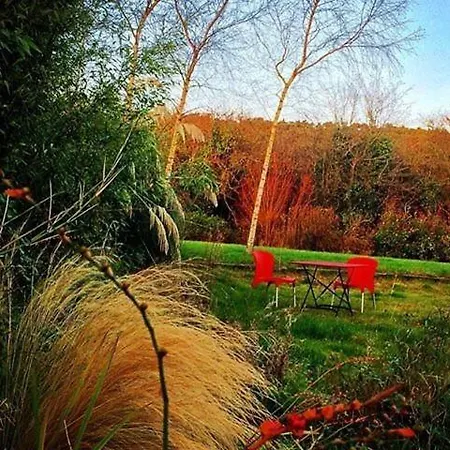 The Village Daire Moate