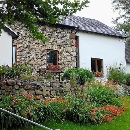 The Village Moate