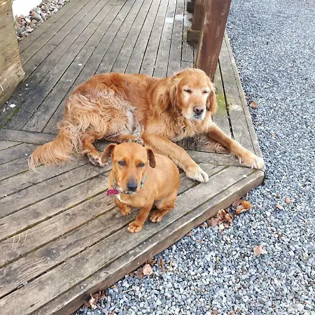 The Village Apartment