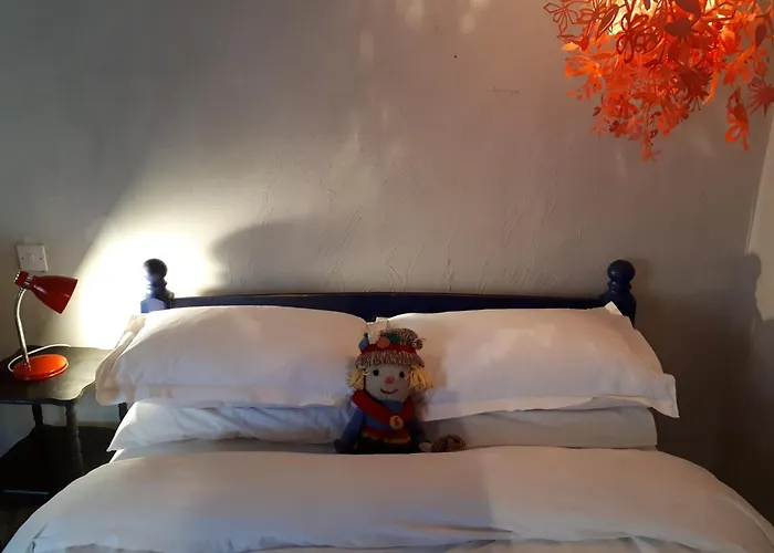 The Village Lejlighed Moate