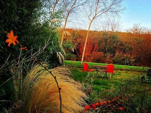 The Village Lejlighed Moate